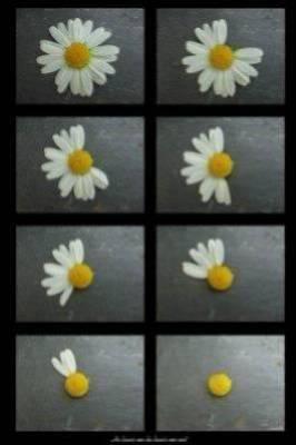 Ne vous faites jamais aveugler par l'amour...